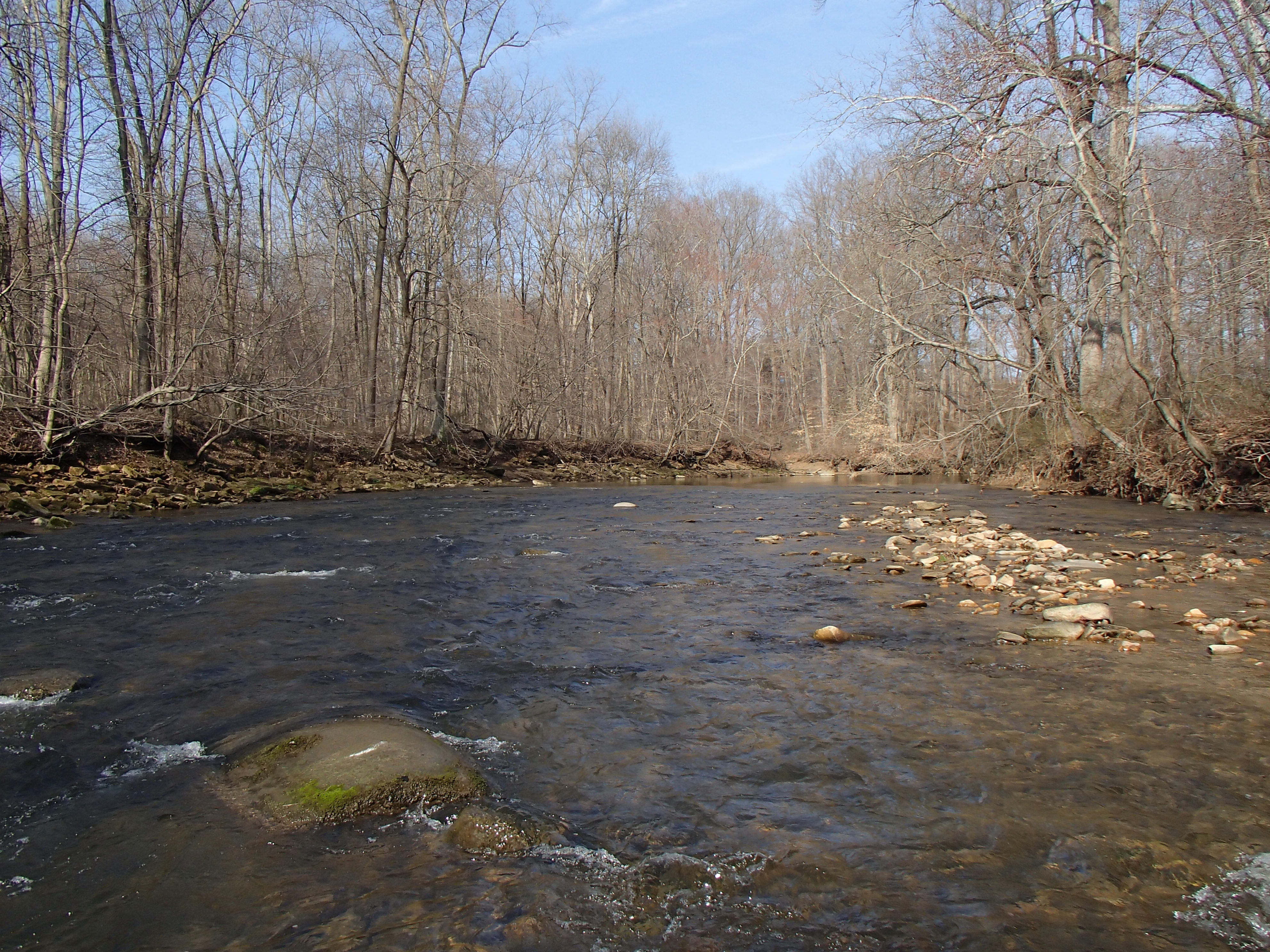 Field photo showing stream conditions at site BELK-305-R-2016_midpoint upstream